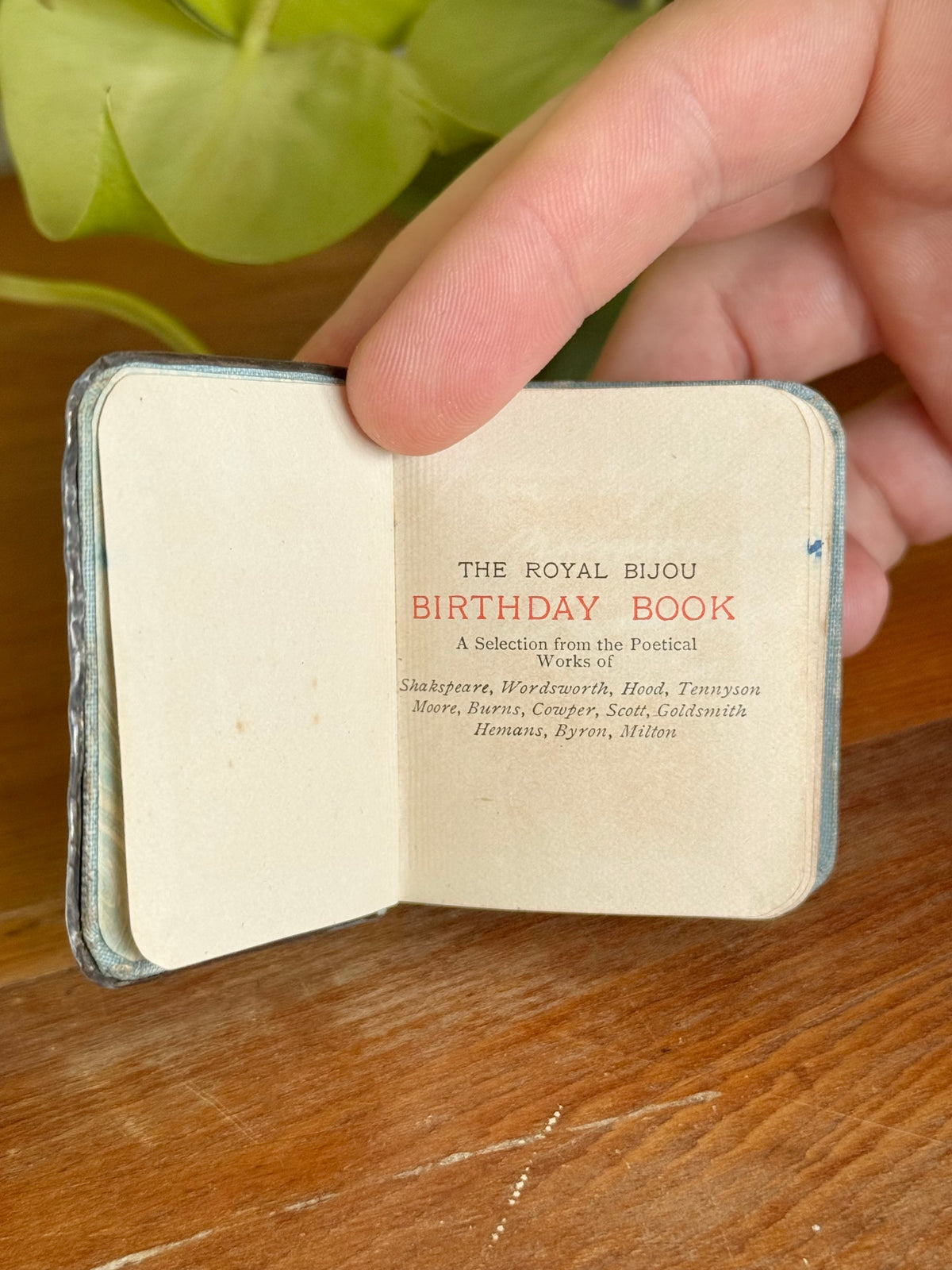 Royal Bijou Miniature Birthday Book | Hallmarked Silver Front | Chester 1906